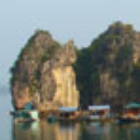 Westfield Market Place